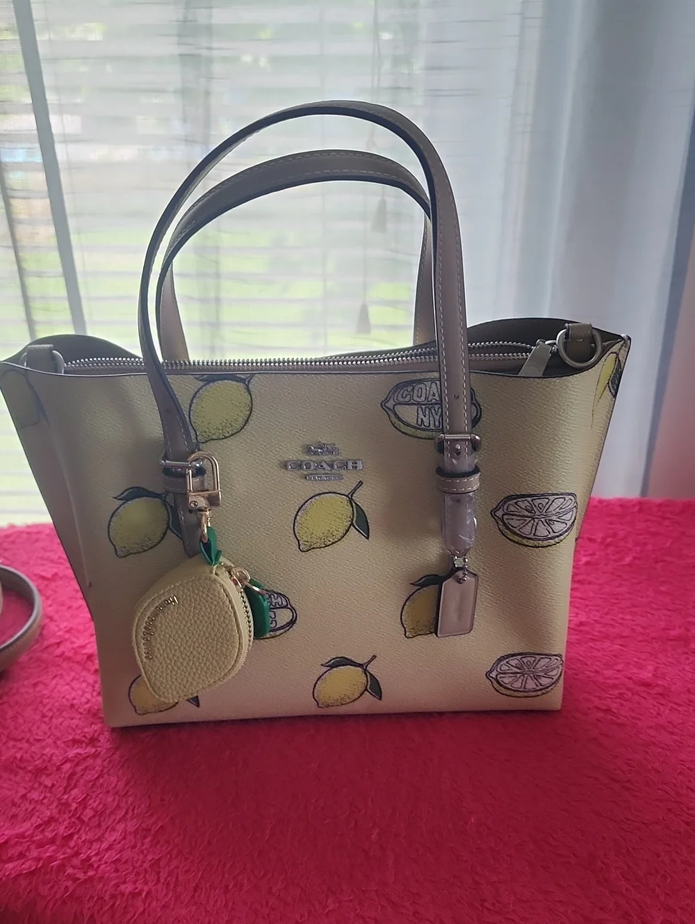 Coach Lemon Print 